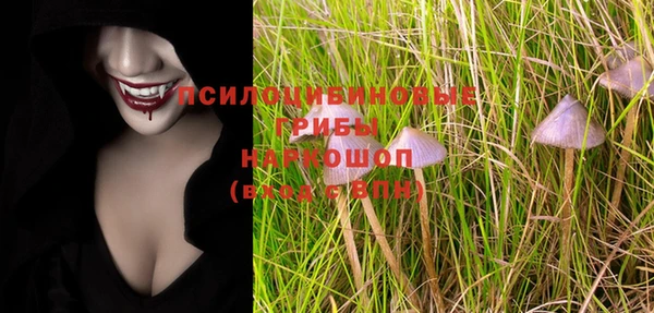 крисы Бородино
