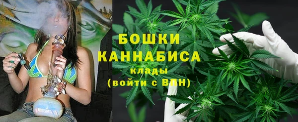крисы Бородино