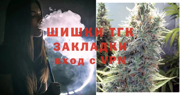 крисы Бородино