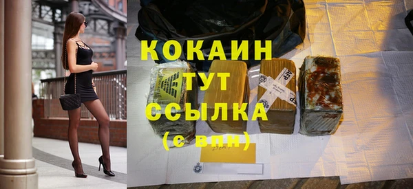 крисы Бородино