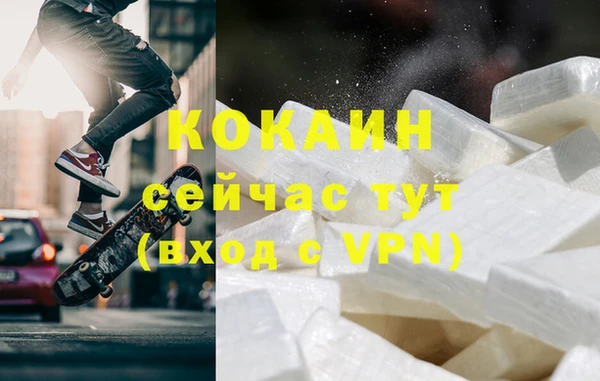 крисы Бородино