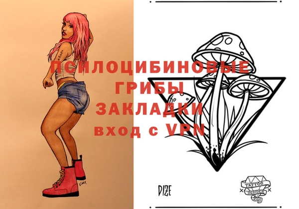 apvp Сосновый Бор