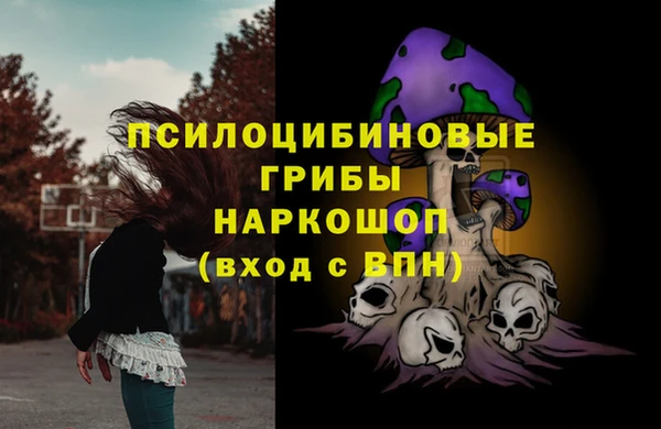 крисы Бородино