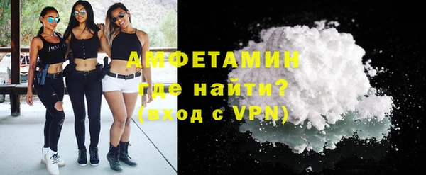 крисы Бородино